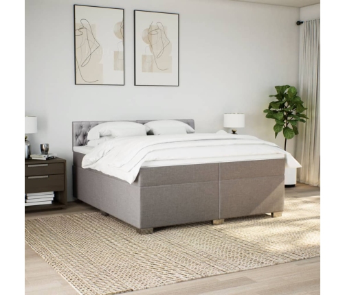 Cama box spring con colchón tela gris taupe 200x200 cm