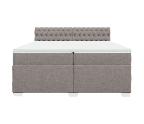 Cama box spring con colchón tela gris taupe 200x200 cm