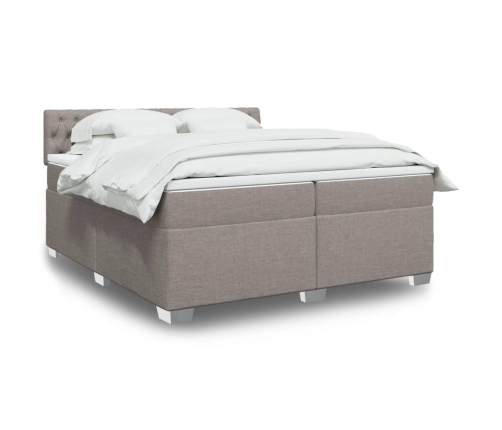 Cama box spring con colchón tela gris taupe 200x200 cm