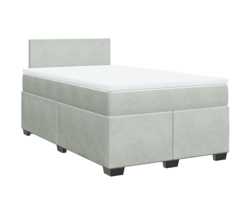 Cama box spring con colchón terciopelo gris claro 120x190 cm