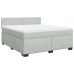 Cama box spring con colchón terciopelo gris claro 180x200 cm