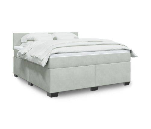 Cama box spring con colchón terciopelo gris claro 180x200 cm