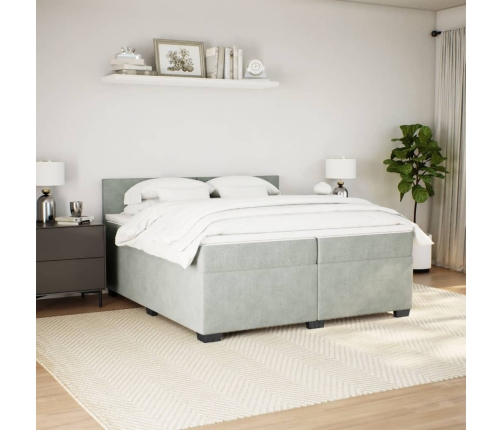 Cama box spring con colchón terciopelo gris claro 200x200 cm