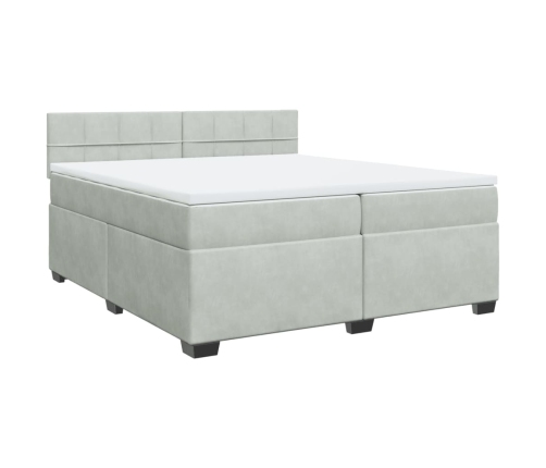 Cama box spring con colchón terciopelo gris claro 200x200 cm