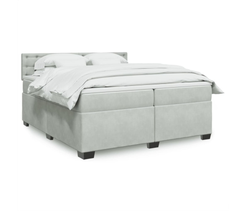 Cama box spring con colchón terciopelo gris claro 200x200 cm