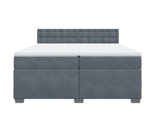 Cama box spring con colchón terciopelo gris oscuro 200x200 cm
