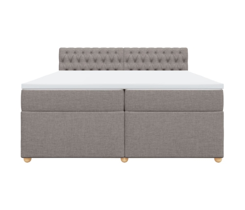 Cama box spring con colchón tela gris taupe 200x200 cm