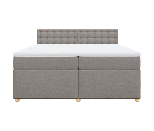 Cama box spring con colchón tela gris taupe 200x200 cm