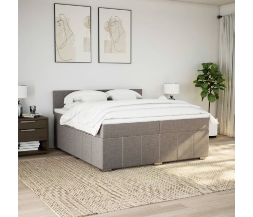 Cama box spring con colchón tela gris taupe 200x200 cm