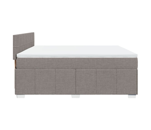 Cama box spring con colchón tela gris taupe 200x200 cm