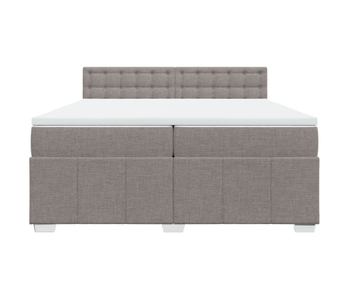 Cama box spring con colchón tela gris taupe 200x200 cm