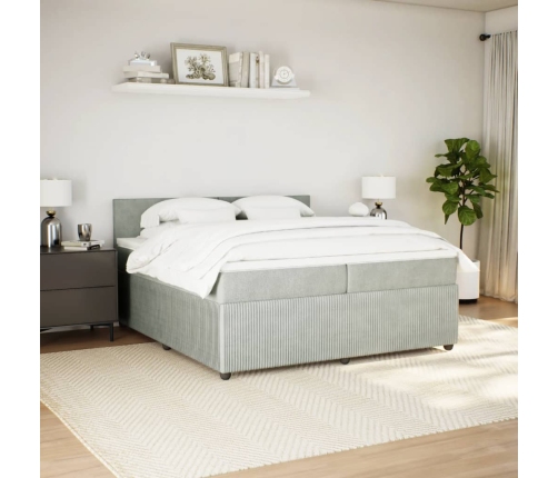 Cama box spring con colchón terciopelo gris claro 200x200 cm