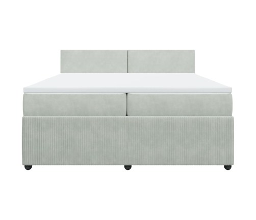 Cama box spring con colchón terciopelo gris claro 200x200 cm