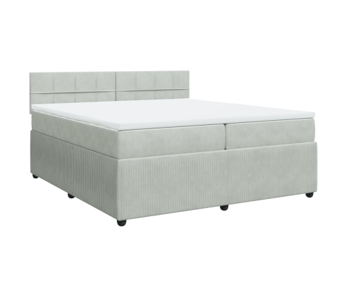 Cama box spring con colchón terciopelo gris claro 200x200 cm