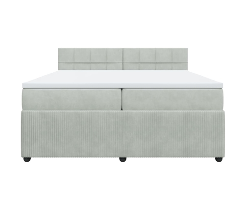 Cama box spring con colchón terciopelo gris claro 200x200 cm