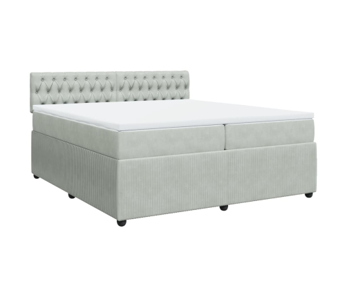 Cama box spring con colchón terciopelo gris claro 200x200 cm