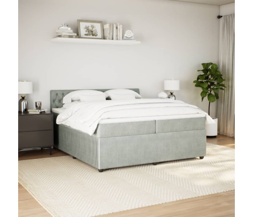 Cama box spring con colchón terciopelo gris claro 200x200 cm