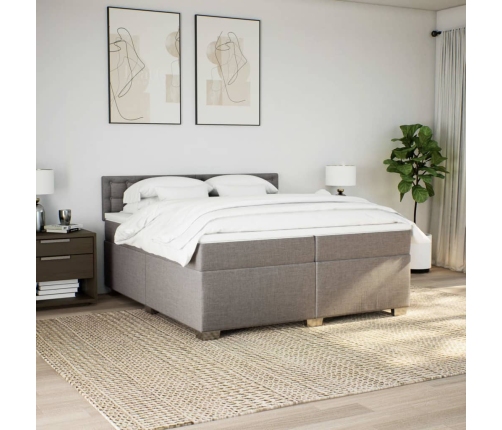 Cama box spring con colchón tela gris taupe 200x200 cm