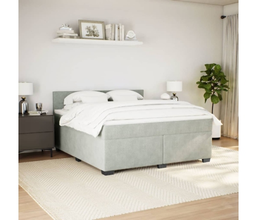 Cama box spring con colchón terciopelo gris claro 180x200 cm