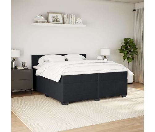 Cama box spring con colchón terciopelo negro 200x200 cm