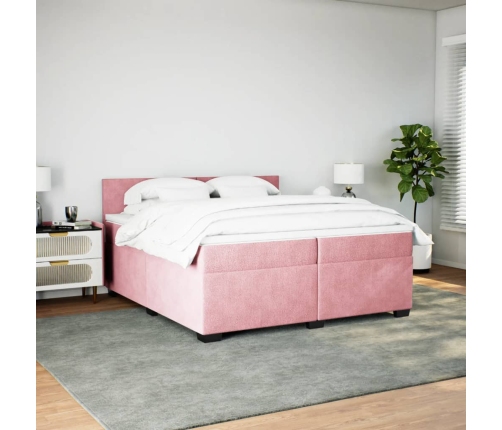 Cama box spring con colchón terciopelo rosa 200x200 cm