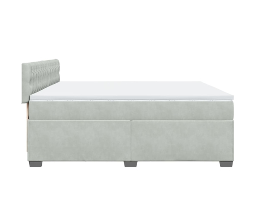 Cama box spring con colchón terciopelo gris claro 200x200 cm