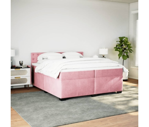 Cama box spring con colchón terciopelo rosa 200x200 cm