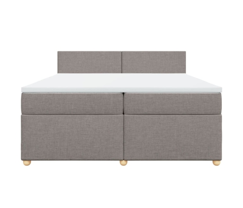 Cama box spring con colchón tela gris taupe 200x200 cm