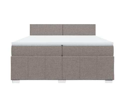 Cama box spring con colchón tela gris taupe 200x200 cm