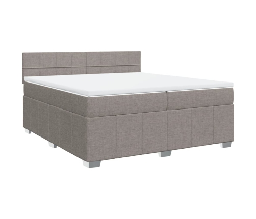 Cama box spring con colchón tela gris taupe 200x200 cm