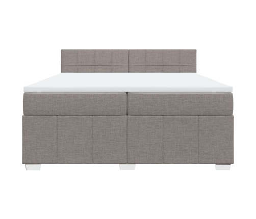 Cama box spring con colchón tela gris taupe 200x200 cm