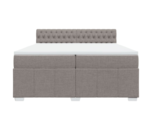 Cama box spring con colchón tela gris taupe 200x200 cm