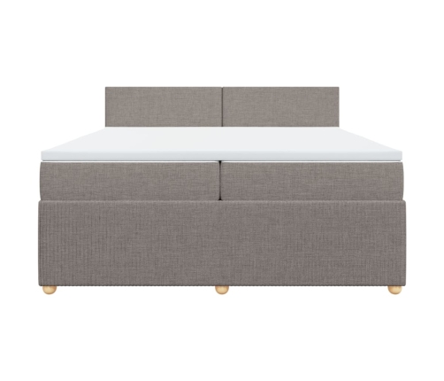 Cama box spring con colchón tela gris taupe 200x200 cm