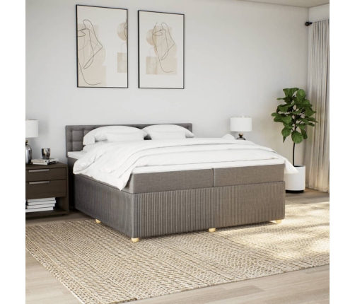 Cama box spring con colchón tela gris taupe 200x200 cm