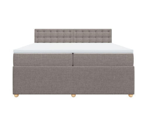 Cama box spring con colchón tela gris taupe 200x200 cm