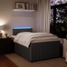 Cama box spring con colchón terciopelo gris oscuro 120x200 cm