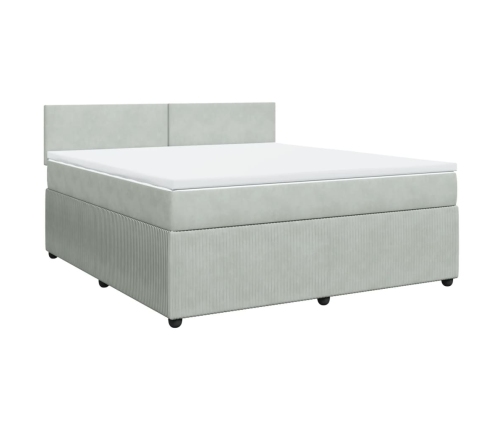 Cama box spring con colchón terciopelo gris claro 180x200 cm