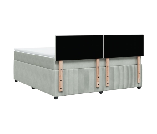 Cama box spring con colchón terciopelo gris claro 180x200 cm