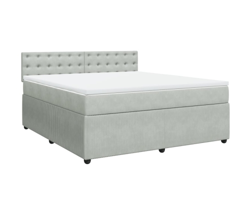 Cama box spring con colchón terciopelo gris claro 180x200 cm