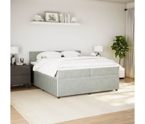 Cama box spring con colchón terciopelo gris claro 200x200 cm