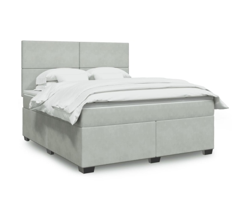 Cama box spring con colchón terciopelo gris claro 180x200 cm