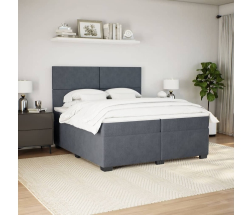 Cama box spring con colchón terciopelo gris oscuro 200x200 cm