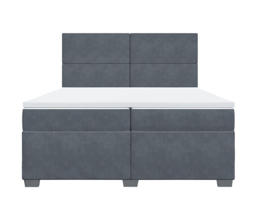 Cama box spring con colchón terciopelo gris oscuro 200x200 cm