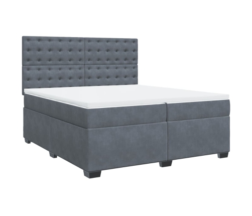 Cama box spring con colchón terciopelo gris oscuro 200x200 cm