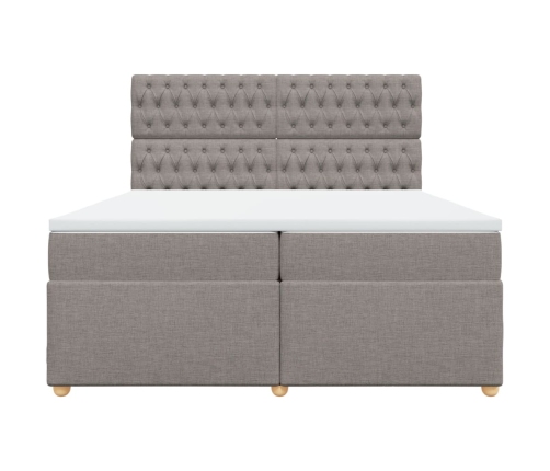 Cama box spring con colchón tela gris taupe 200x200 cm