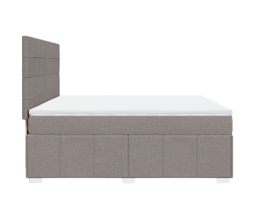 Cama box spring con colchón tela gris taupe 180x200 cm