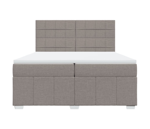 Cama box spring con colchón tela gris taupe 200x200 cm