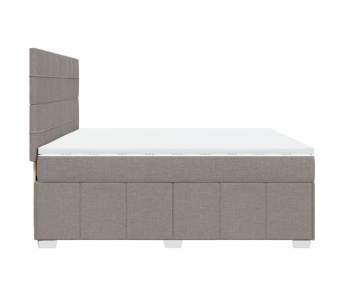 Cama box spring con colchón tela gris taupe 200x200 cm