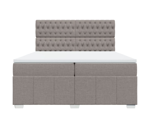 Cama box spring con colchón tela gris taupe 200x200 cm