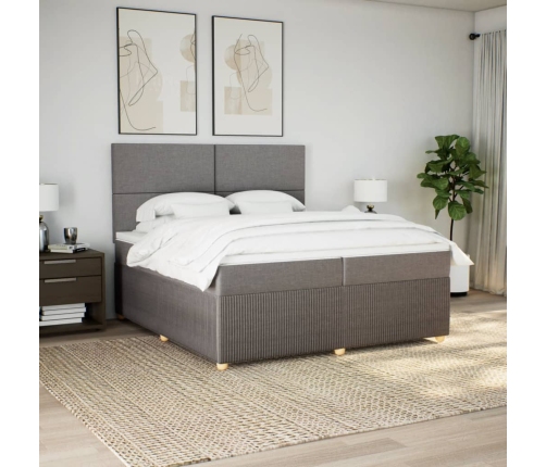 Cama box spring con colchón tela gris taupe 200x200 cm